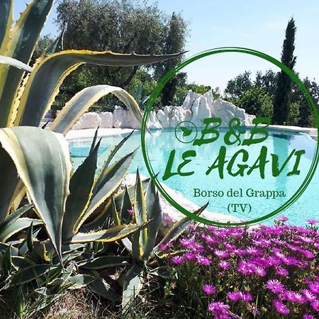 B&B Le Agavi Borso del Grappa Exteriör bild