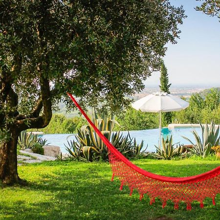 B&B Le Agavi Borso del Grappa Exteriör bild