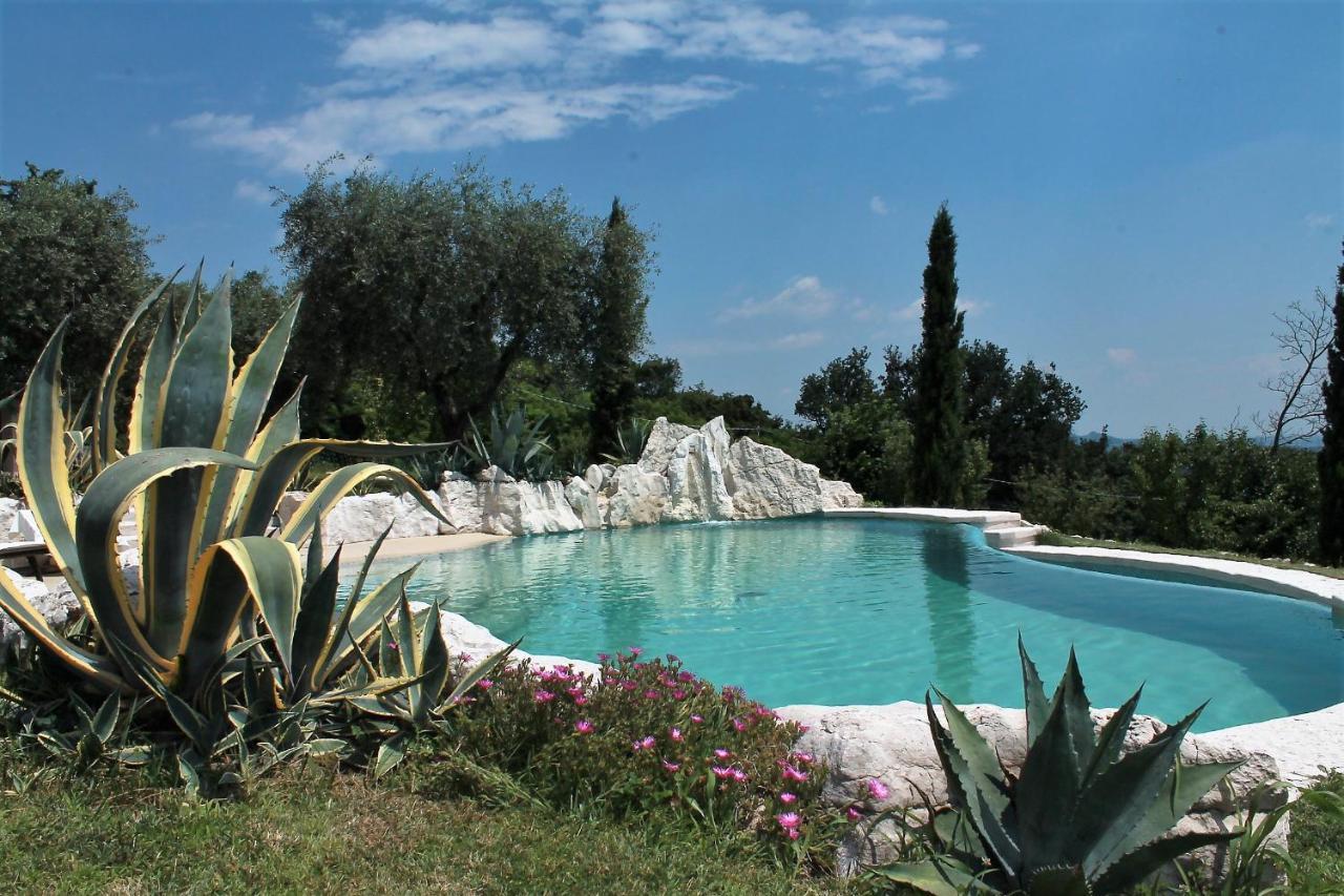 B&B Le Agavi Borso del Grappa Exteriör bild