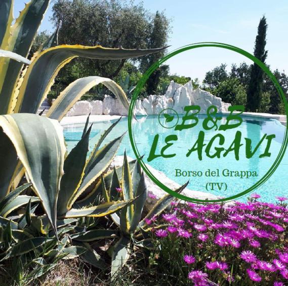 B&B Le Agavi Borso del Grappa Exteriör bild