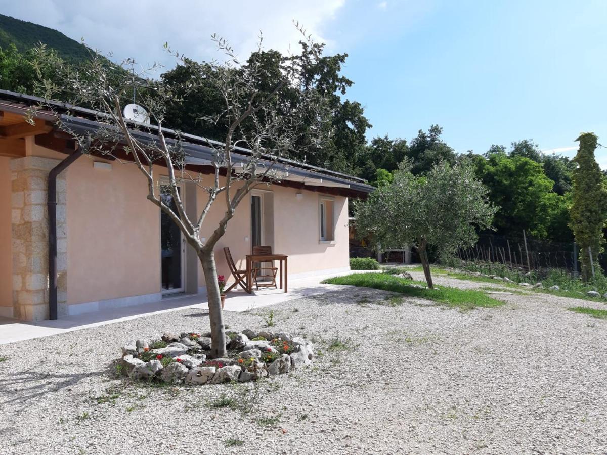 B&B Le Agavi Borso del Grappa Exteriör bild